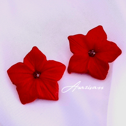 گوشواره گل قرمز با نگین درخشان